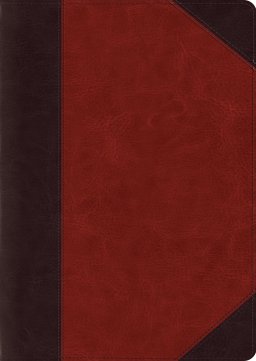 ESV Study Bible, Large Print
