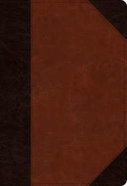 ESV Student Study Bible (TruTone, Brown/Cordovan, Portfolio Design)
