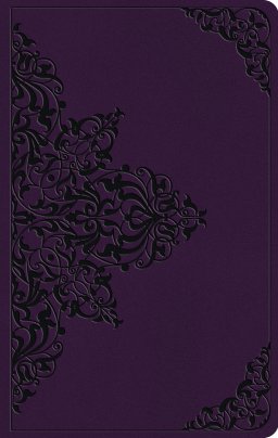 ESV Large Print Value Thinline Bible
