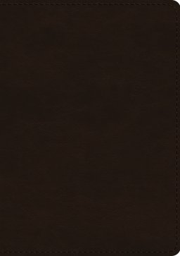 ESV Single Column Journaling Bible, Large Print (TruTone, Deep Brown)