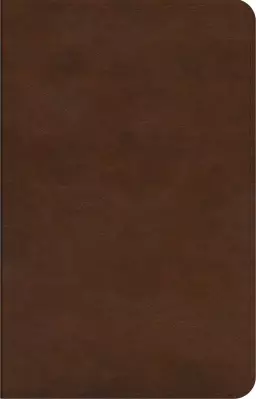 ESV Concise Study Bible, Brown, Imitation Leather, Glossary, Study Notes, Maps, Charts, Illustrations, Articles, Book Introductions