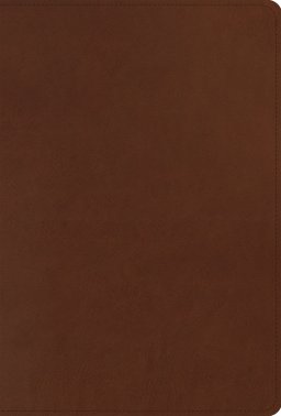 ESV Men's Study Bible (TruTone, Brown)
