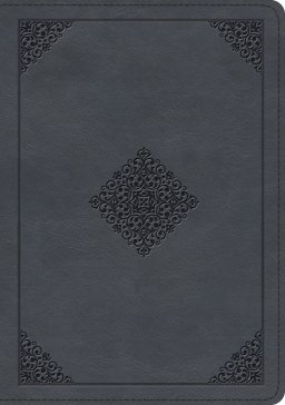 ESV Large Print Wide Margin Bible