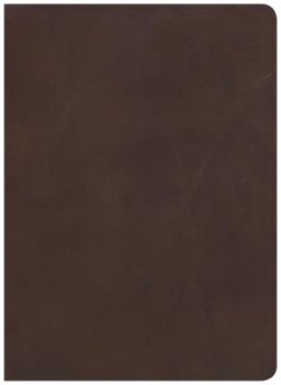 CSB Study Bible, Brown Genuine Leather, Indexed