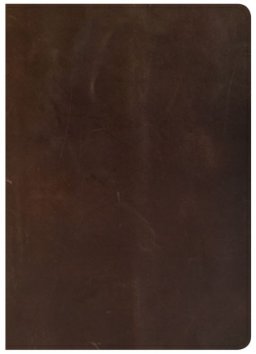 CSB She Reads Truth Bible, Brown Genuine Leather