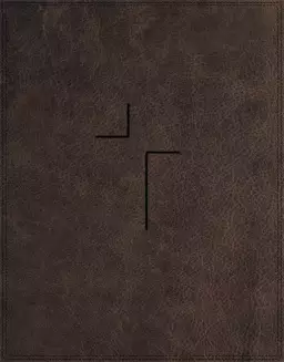 Louie Giglio NIV Jesus Bible, Brown, Imitation Leather, 300+ Articles, Ribbon Marker, Concordance