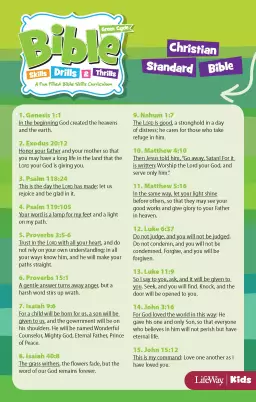 Bible Skills Drills and Thrills Green Cycle CSB Verse Cards (PKG 10)