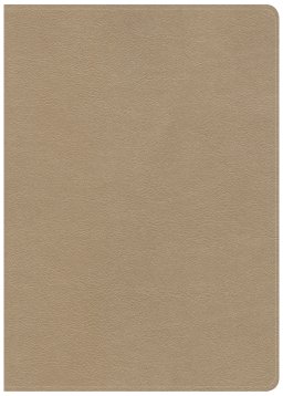 CSB She Reads Truth Bible, Champagne Gold LeatherTouch, Indexed