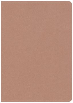 CSB She Reads Truth Bible, Rose Gold, Imitation Leather, Devotional, Women's Study, Verse Illustrations, Colour Timelines, Maps, Book Introductions, Gilt Edged