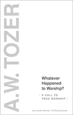 Whatever Happened to Worship?