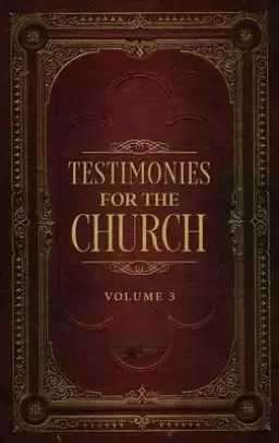 Testimonies for the Church Volume 3