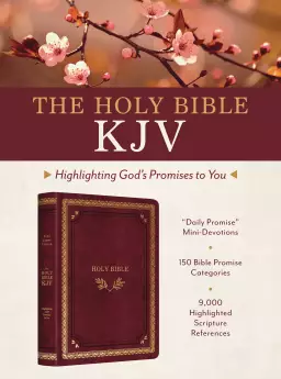 Holy Bible KJV: Highlighting God's Promises to You [Crimson & Gold]