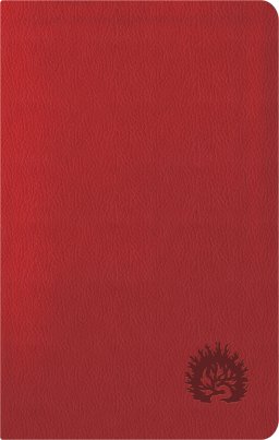 ESV Reformation Study Bible, Condensed Edition - Red, Leather-Like