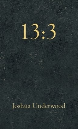 13:3