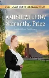 Amish Willow: Amish Romance