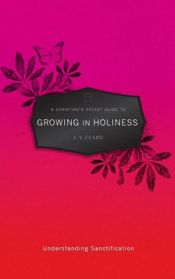 A Christian's Pocket Guide to Growing in Holiness