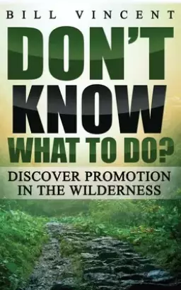 Don't Know What to Do?: Discover Promotion in the Wilderness