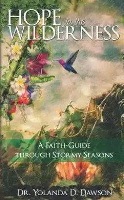 Hope in the Wilderness: A Faith-Guide Through Stormy Seasons