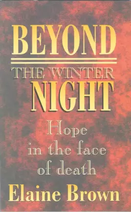 Beyond The Winter Night