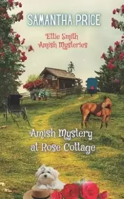 Amish Mystery At Rose Cottage
