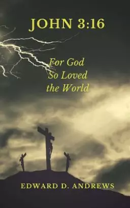 John 3: 16: For God So Loved the World