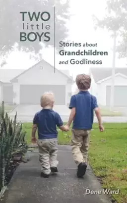 Two Little Boys: Stories about Grandchildren and Godliness
