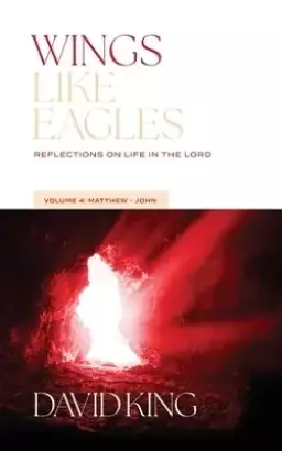Wings Like Eagles: Reflections on Life in the Lord Vol. 4: Matthew-John