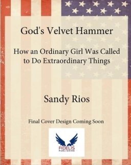 God's Velvet Hammer: How an Ordinary Girl Was Called to Do Extraordinary Things
