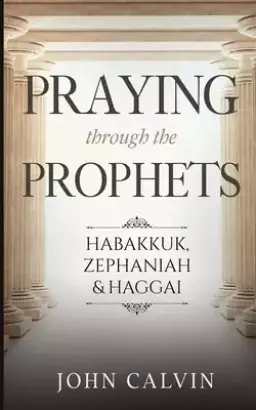 Praying through the Prophets: Habakkuk, Zephaniah & Haggai: Worthwhile Life Changing Bible Verses & Prayer