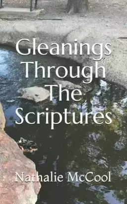 Gleanings Through The Scriptures
