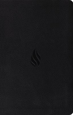 ESV Premium Gift Bible (TruTone, Midnight, Flame Design)