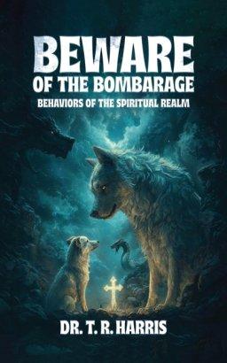 BEWARE OF THE BOMBARAGE: Behaviors of the Spiritual Realm