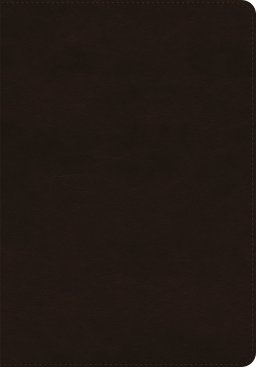 ESV Giant Print Bible, Red Letter (TruTone, Deep Brown)