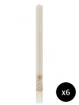 Advent Candle Ivory Printed with Gold (Pack of 6)