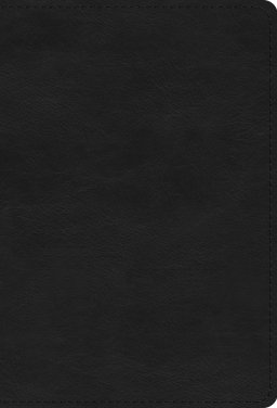 ESV Large Print Compact Bible, Red Letter (TruTone, Black)