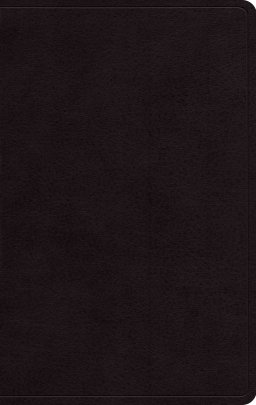 ESV Giant Print Personal Size Bible, Red Letter (Genuine Leather, Black)