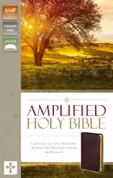 Amplified Thinline Holy Bible: Burgundy, Bonded Leather, Thumb Indexed