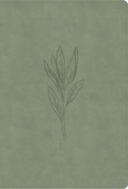 NASB Super Giant Print Reference Bible, Sage Suedesoft