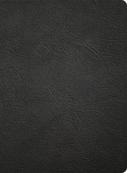 NASB Study Bible, Black Genuine Leather