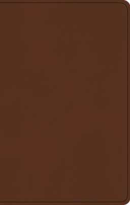 ESV Large Print Value Thinline Bible (TruTone, Camel)