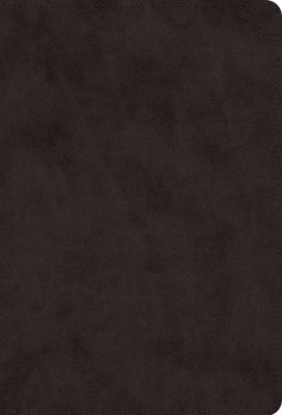 ESV Giant Print Value Thinline Bible (TruTone, Black)