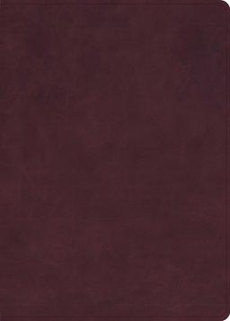 KJV Single-Column Wide-Margin Bible, Marbled Burgundy