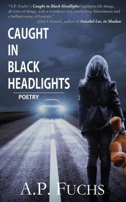 Caught in Black Headlights: (Poetry Collection)