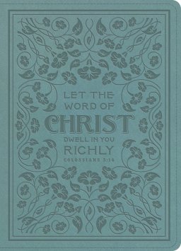 ESV Illuminated™ Bible, Art Journaling Edition (TruTone, Paris Sky, Colossians 3:16 Design)