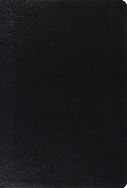 ESV Giant Print Thinline Bible, Red Letter (Genuine Leather, Black)
