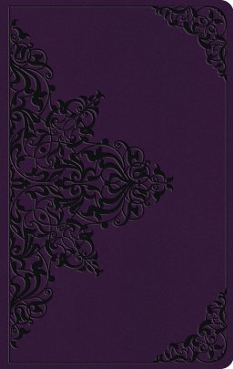 ESV Large Print Value Thinline Bible (TruTone, Lavender, Filigree Design)
