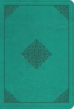 ESV Large Print Value Compact Bible (TruTone, Teal, Ornament Design)