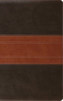 ESV Giant Print Personal Size Bible (TruTone, Forest/Tan, Trail Design)