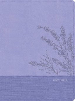 CSB Super Giant Print Reference Bible, Digital Study Edition