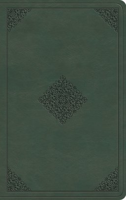 ESV Large Print Value Thinline Bible (TruTone, Quiet Forest, Ornament Design)
